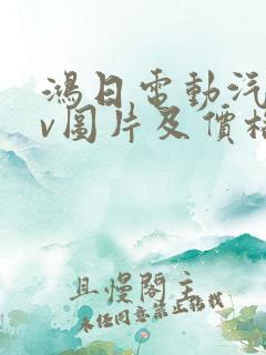 鸿日电动汽车ev图片及价格