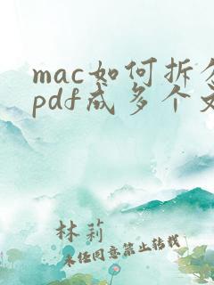 mac如何拆分pdf成多个文件