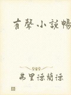 有声小说畅听
