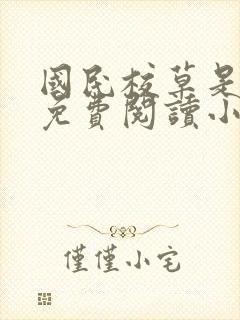 国民校草是女生免费阅读小说