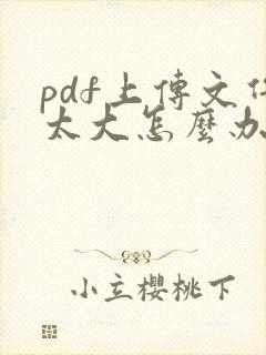 pdf上传文件太大怎么办
