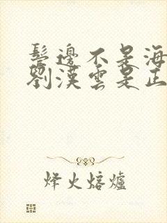 鬓边不是海棠红刘汉云是正派吗