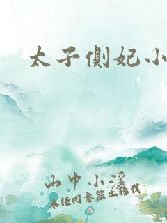 太子侧妃小说