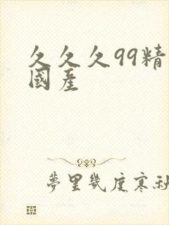 久久久99精品国产