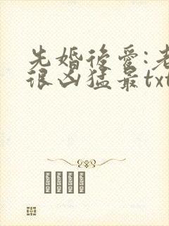 先婚后爱:老公很凶猛最txt下载
