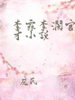李霖李澜官场奇才小说