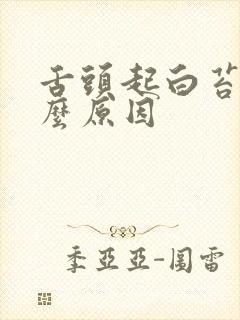 舌头起白苔是什么原因