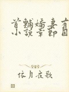 首辅娇妻有空间小说章节目录