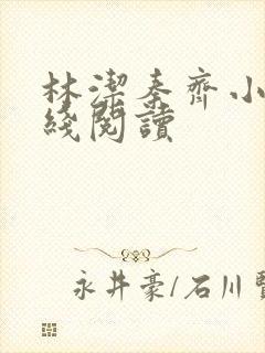 林洁秦齐小说在线阅读