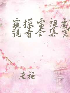 窥探电视剧免费观看全集完整版