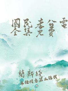 国民老公电视剧全集免费