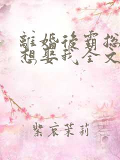 离婚后霸总天天想娶我全文