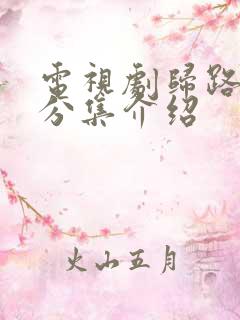 电视剧归路剧情分集介绍