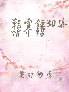 朝雪录30集剧情介绍