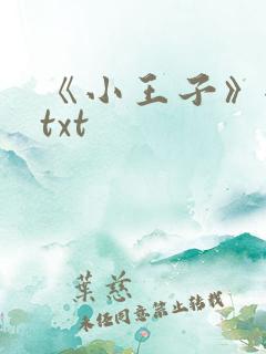 《小王子》全篇txt
