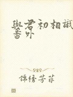 与君初相识小说番外