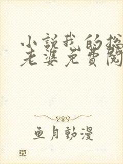 小说我的总裁大老婆免费阅读