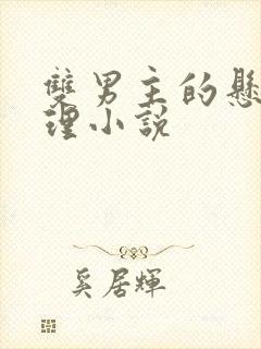 双男主的悬疑推理小说