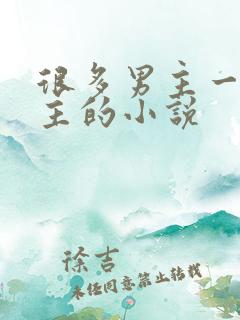 很多男主一个女主的小说
