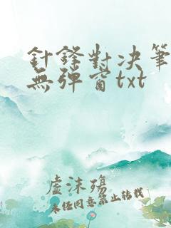 针锋对决笔趣阁无弹窗txt