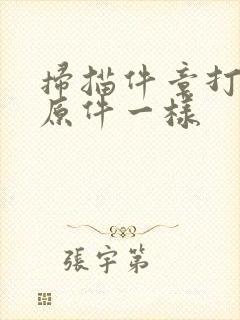 扫描件章打印和原件一样