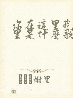 你在这里我在哪里是什么歌的歌词