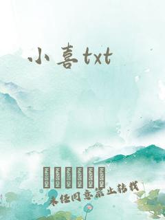 小喜txt