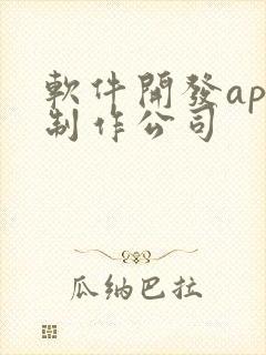 软件开发app制作公司