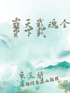 霸天武魂全本免费下载