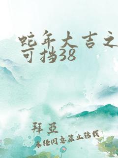 蛇年大吉之婚不可挡38