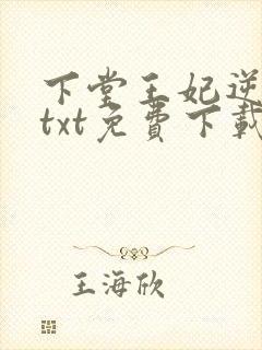 下堂王妃逆袭记txt免费下载