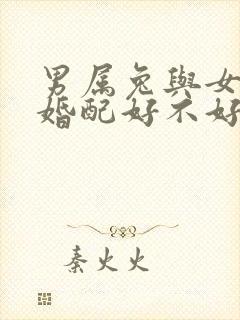 男属兔与女属蛇婚配好不好