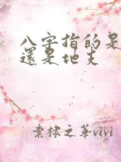 八字指的是天干还是地支