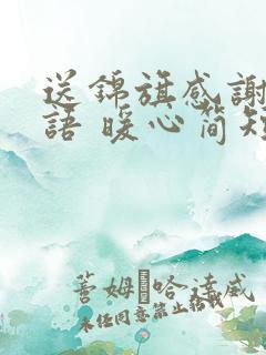 送锦旗感谢的话语 暖心简短