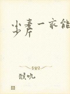 小麦一亩能产多少斤