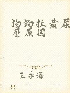 狗狗拉黄尿是什么原因