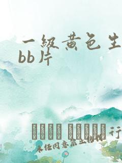 一级黄色生活bbb片