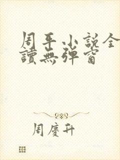 周平小说全文阅读无弹窗