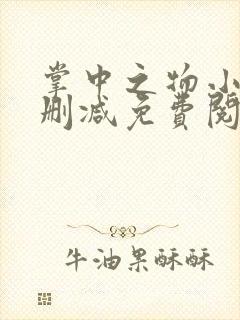 掌中之物小说无删减免费阅读全文