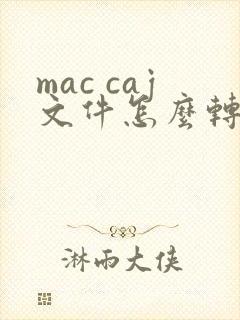 mac caj文件怎么转换成pdf