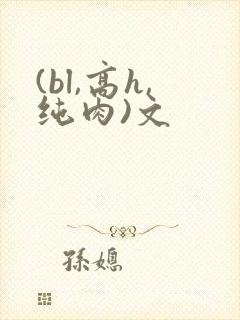 (bl,高h,纯肉)文