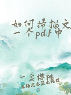 如何扫描文件到一个pdf中