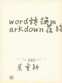 word转换markdown在线