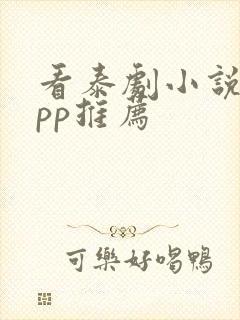 看泰剧小说的app推荐