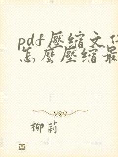 pdf压缩文件怎么压缩最小且精度不变