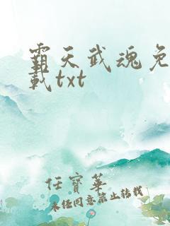 霸天武魂免费下载txt