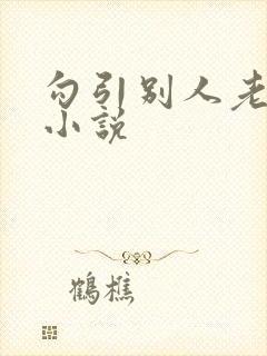 勾引别人老公的小说