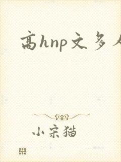 高hnp文多人