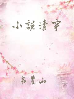 小说清穿