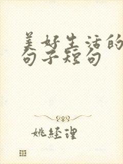 美好生活的唯美句子短句